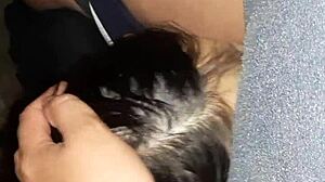 we lick wet pussies in the barn