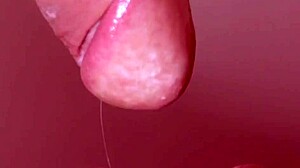 Japanese Step Mom Guides Her Son in Intimate Moment