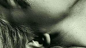 Delicious Moments In Jalisco Mexico