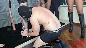 Latina Amateur Feels Bdsm In Pet Play Orgy