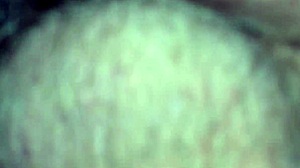 Mexican Wife In Various Scenes