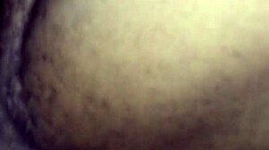 Redbone Booty Backshots