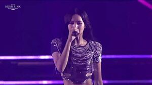 出生粉红眨眼演唱会亮点亚洲明星。