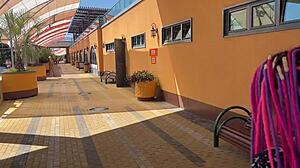 Cute beach girl, wanna be my dirtiest slave for anal play?