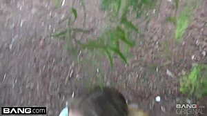 Alyssa Cole Sucks Cock In The Park With Intensity