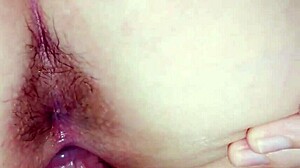 Escort babe drilled hard from back and front positions