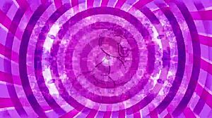 She says, 'Follow my instructions for sissy training, tease that cock and jerk off.'