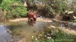 adventurous banging with zainab