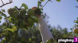 Perfect Big Ass Teen Model Hayli Sanders Reveals Body During Posing In Hot Skirt