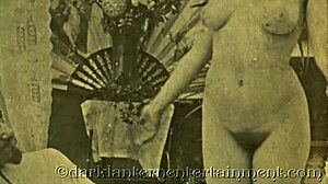 dark lantern stiff as poker erotic confessions