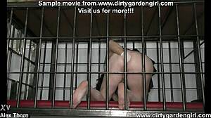 Caged dirtygardengirl self anal fisting & prolapse extreme