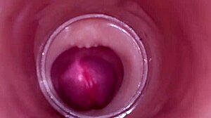 女性受精在深层释放期间由内部摄像头捕捉