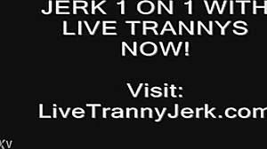 Shemale Cums On Legs And Feet Teasingly