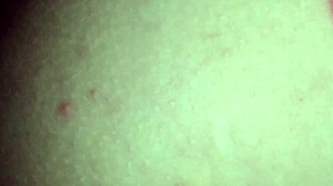 Rough missionary fucked by my bull in missionary