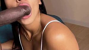 Latina Babe Gives Sloppy Blowjob To Big Black Cock