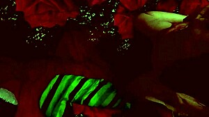 Fucking Sweet Teen And Cumming On Her Ass!