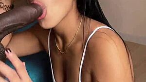 Latina Babe Gives Sloppy Blowjob To Big Black Cock