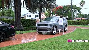 Jodie Johnson's Gypsy Rose on Her Knees