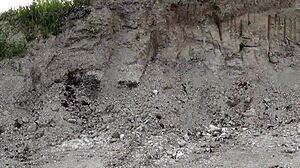 soap bibbles in transparent bikini with mature crossdressing