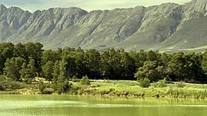 Dominatrix Mistress April Trains The Slave Centerpide