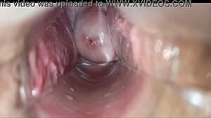 Vaginal orgasm close-up