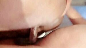 Sundaydogood614 - Update 870 - Vid 20250322 134221 - Mar 22 2025