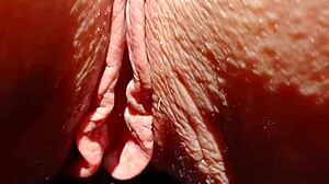 熟女近距离磨光滑骚逼