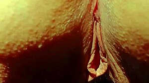 熟女近距离磨光滑骚逼