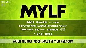 Case No 6615425 - The Entitled Fraudster