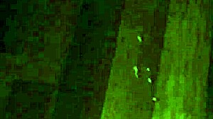 watching someone jerk off to orgasm