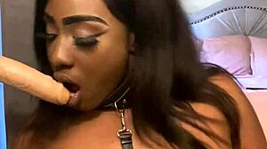 i cant beleive how lexo butterflys sux that big black cock so submissivly, its amazin