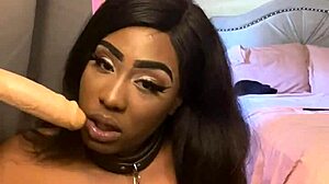 i cant beleive how lexo butterflys sux that big black cock so submissivly, its amazin