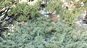 Did you catch her masturbating in balboa park?