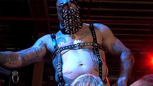 Tory Lane is a demented ANAL WHORE just like Brooke Scott