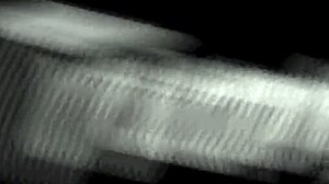 Gaby Maiia and Maira Dimov Enjoy Trans Anal Play