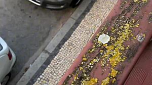 After dropping my glasses, I let the helpful guy fuck me hard in cowgirl position