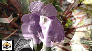 Granny Swallows Big Juicy Load