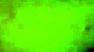 Hot Action with a Sexy Big-Ass Roommate