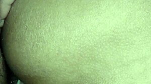 trade with my brazilian shemale client from salvador?