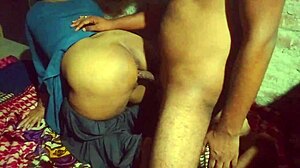 Desi heena bhabhi and her brother in law fucked