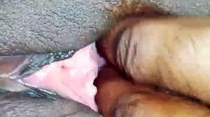 Discover Hornyzee in Action!