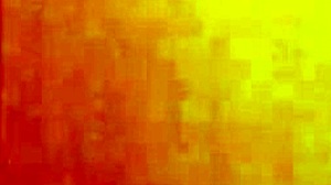 Wild Encounter In The Woods With Beautiful Woman