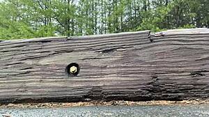 Clitlicker662 - update 32 - img 1340 - feb 16 2025