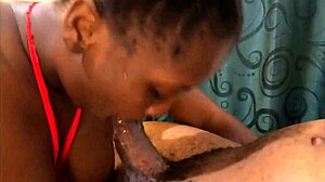 Feeling the rush as I suck my stepbrother's big cock at home - mastermeat1.