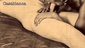 Vintage Beauties Bared in Outdoor Interracial Action