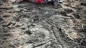 beautiful stranger gives me a blowjob on the public beach