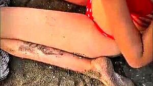 beautiful stranger gives me a blowjob on the public beach