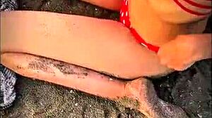 beautiful stranger gives me a blowjob on the public beach