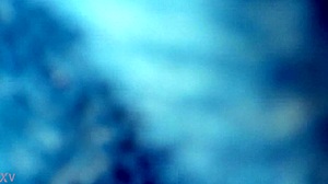 i'm filming my sister-in-law's sexy ass while she bends over in the kitchen, her curves so tempting