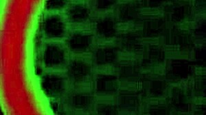 rome major passionately fucks penny archer, feeling her tight pussy